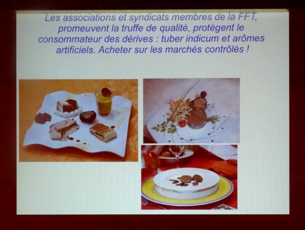 Le congrès National de Mycologie s'est poursuivi par des recherches et des conférences ouvertes au public...