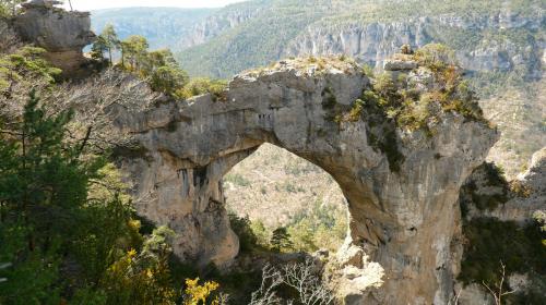 ╰⊱♥⊱╮ღ꧁ Département 48 ꧂ღ╭⊱♥≺