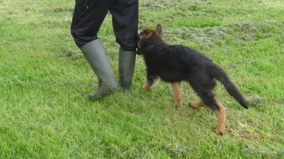 Après l'école, les Devoirs pour Ugo