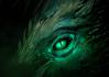 Regard_012.jpg