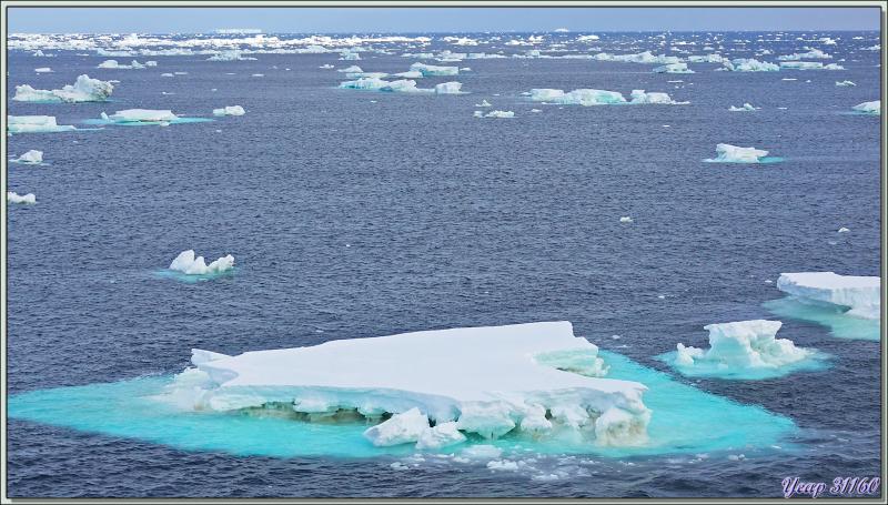 03/03/2022 : navigation très monotone entre Mer de Ross et Mer d'Amundsen - Antarctique