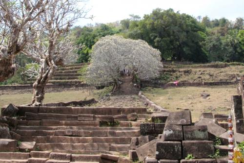 Le Vat Phou