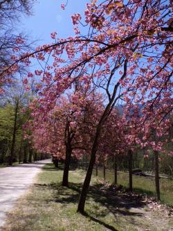 Une petite balade qui fait du bien 3 