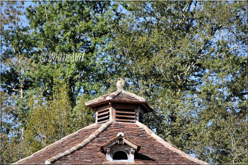 ¨Pigeonnier sur arcades lanternon lucarne d'envol Queyssac Dordogne Aquitaine