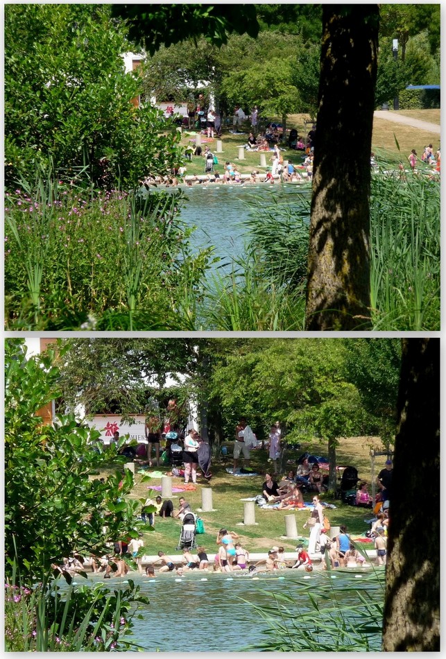 Piscine-nature à Amiens