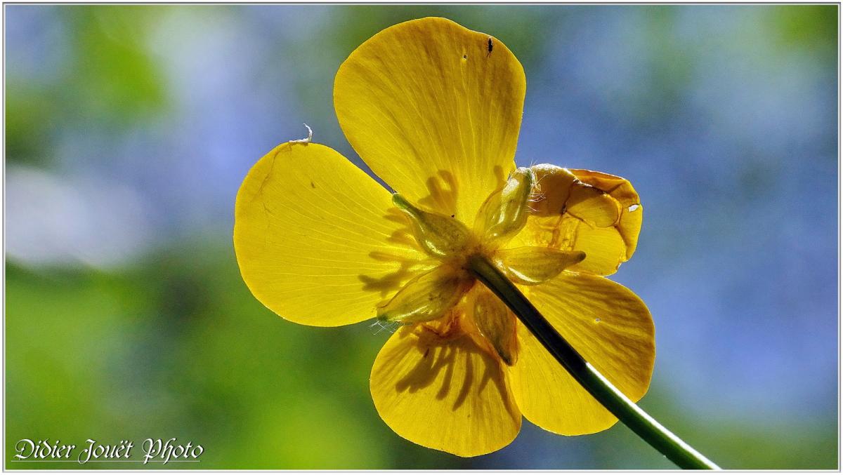 Balade / Mardi 30 Avril 2019