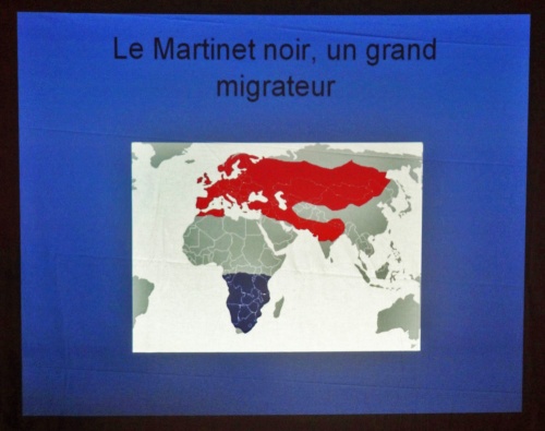 Une conférence de la LPO à Marcenay...