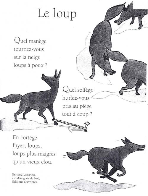 le loup