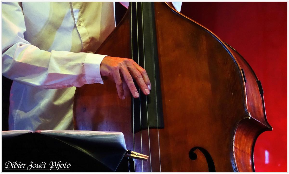 Festival la Pamparina 2017 (2) - Thiers (63)