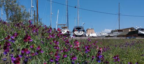 Patience et patience !