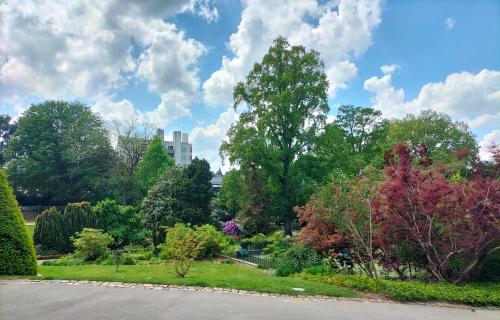 ANGERS - Jardin des plantes