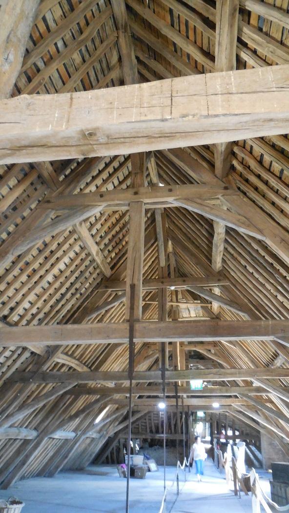 Le Châteaux de Saint-Fargeau (2)