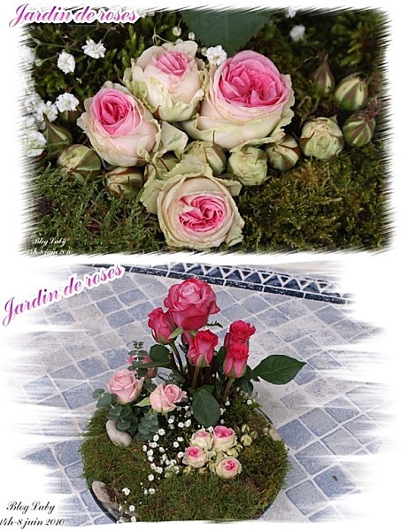 06 08 06 2010 jardin de roses (3)