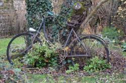 La randonnée du 19 décembre à Avenay