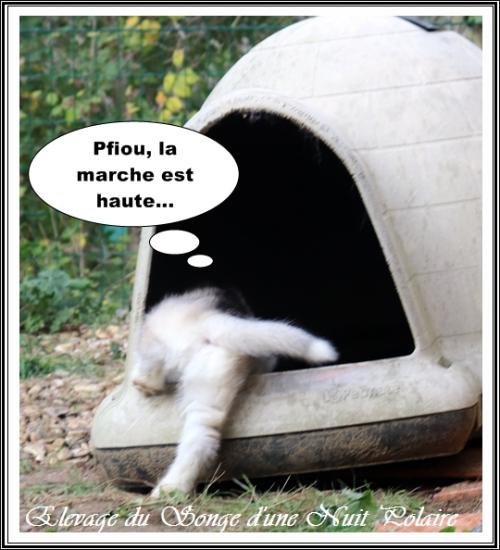 Portée d'Ourika (19 novembre 2023)