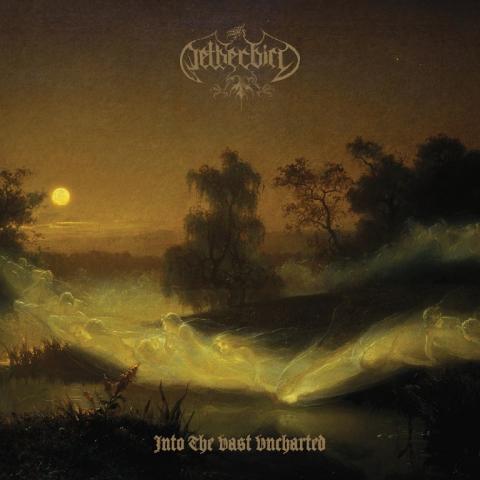 NETHERBIRD - Les détails du nouvel album Into The Vast Uncharted