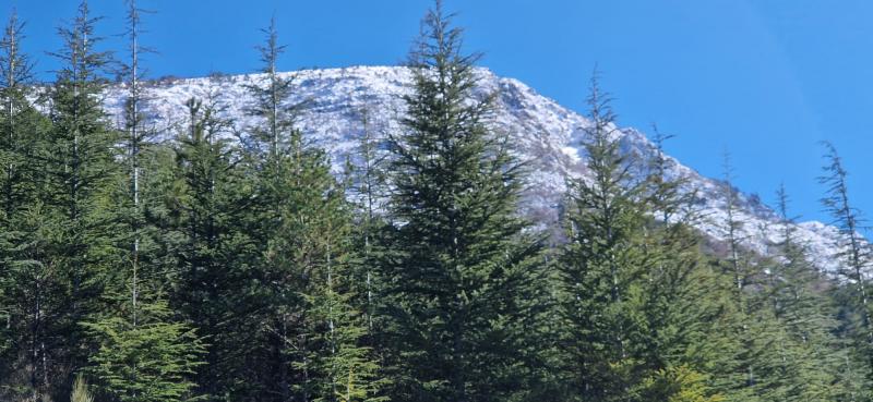 Lundi 4 mars, sortie à la montagne