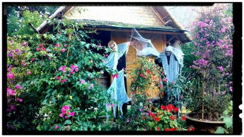 Happy Halloween ! 