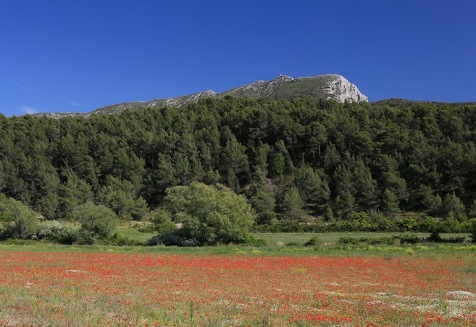 Montagne Sainte-Victoire (Bouches du Rhône)