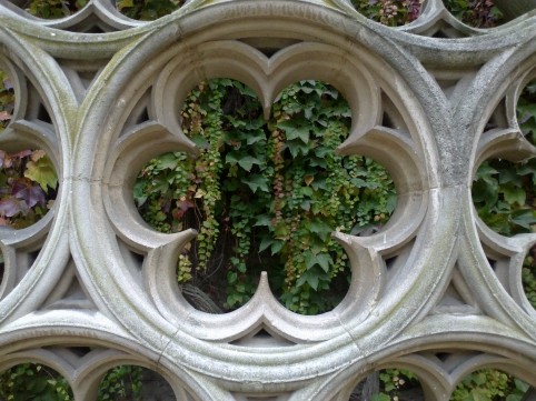 Image10