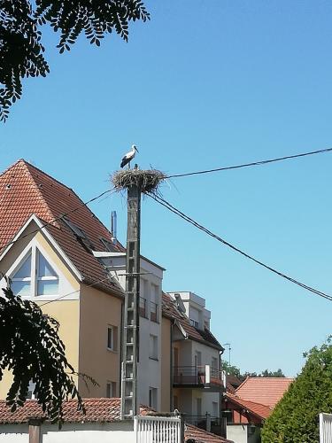 SORTIE  MARIENTHAL