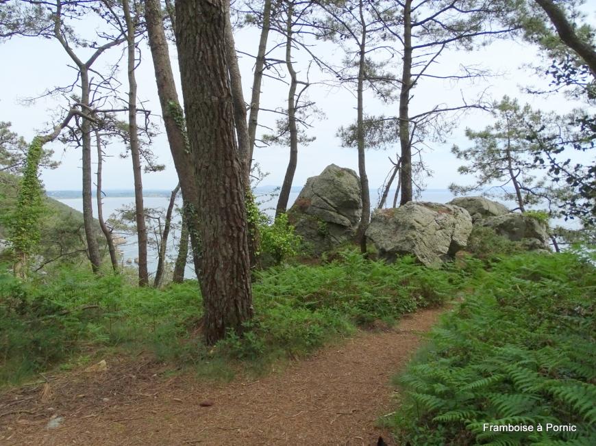 Le cap de la Chèvre - Finistere - Mai 2019