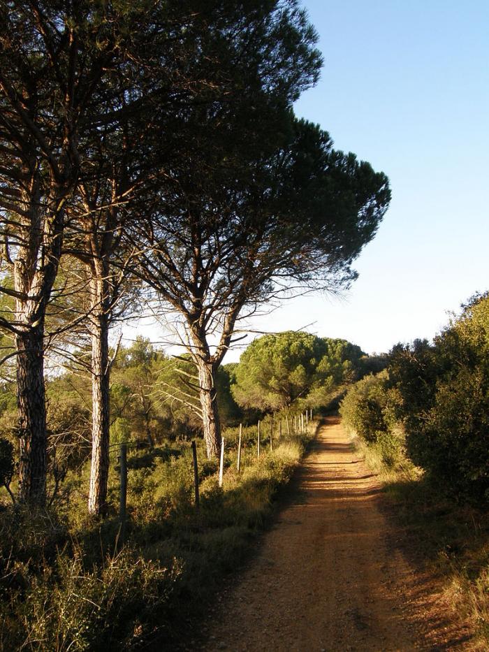 Département du Gard