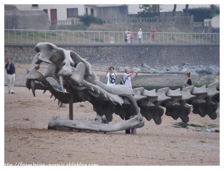 Le serpent échoué à St Brévin les Pins