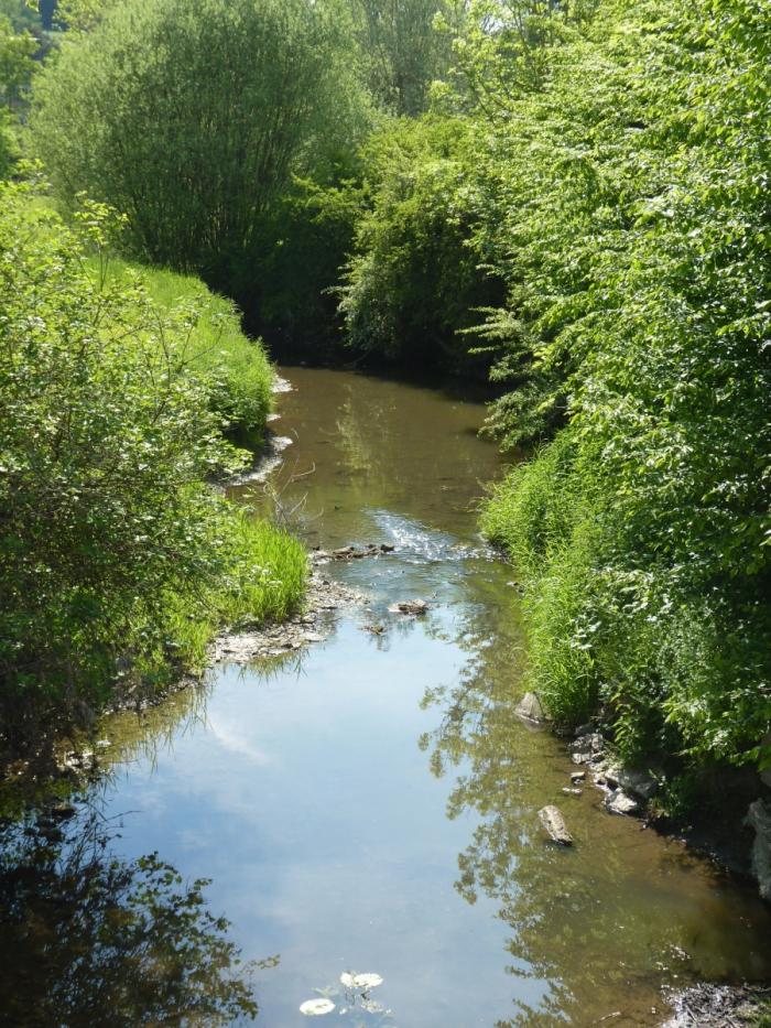 Département du Nord