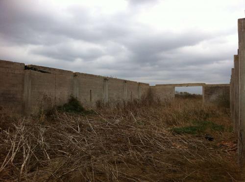 Petit mas ancien destructurée - Camargue