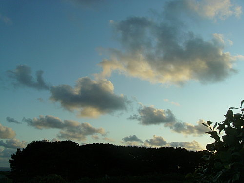IMGP0242-copie-1.JPG