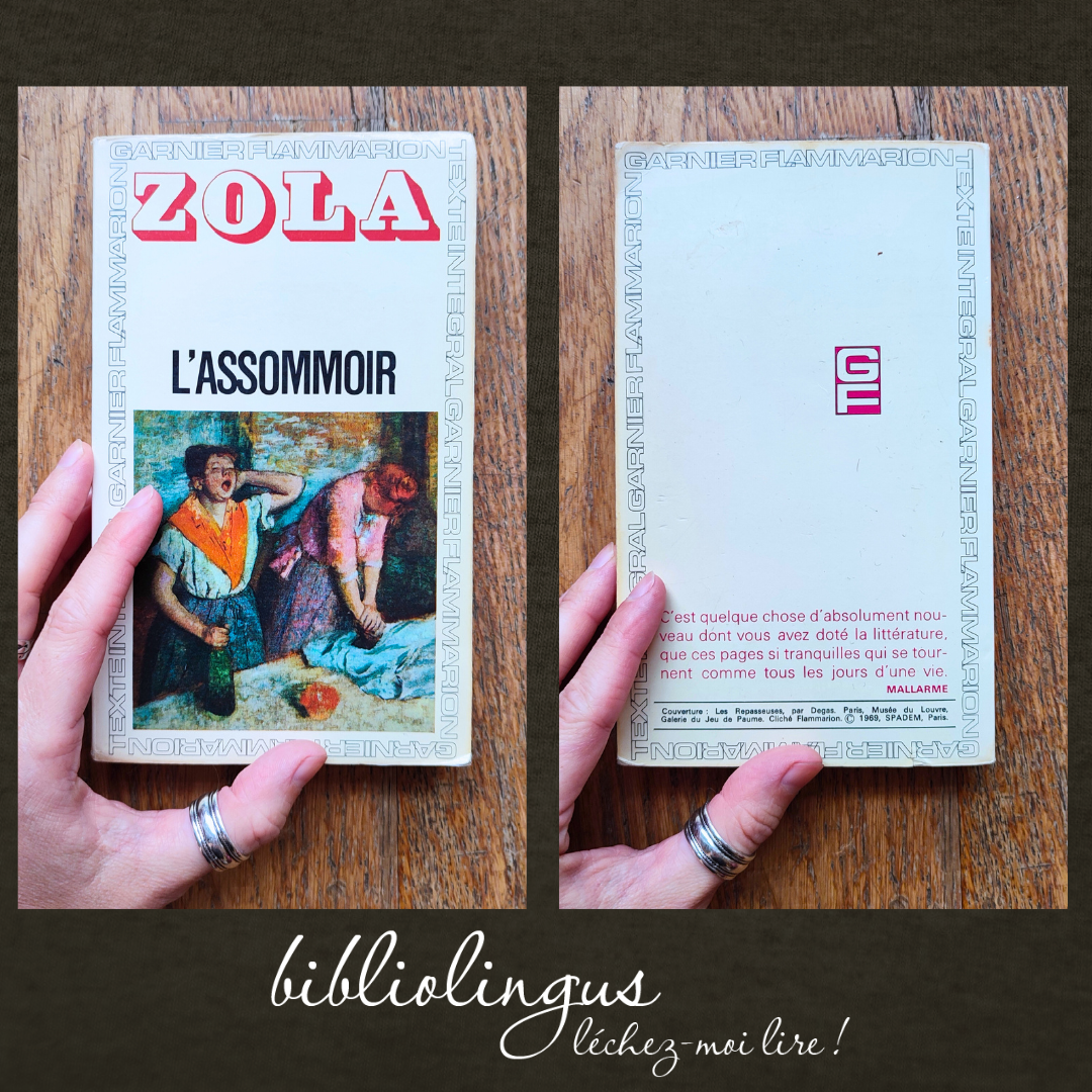 l'assommoir zola édition de 1969 bibliolingus