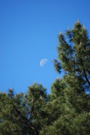 Lune osa...