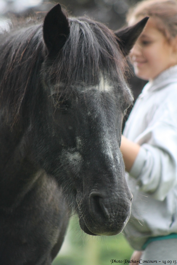 doudou & black 14/09/13