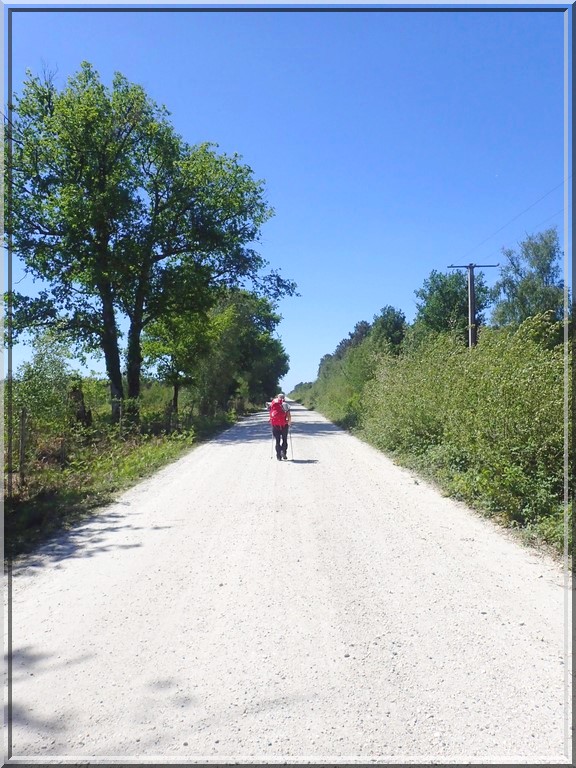 916 - Suite17 : -Notre Chemin vers St Jacques de Compostelle à travers ses anecdotes-