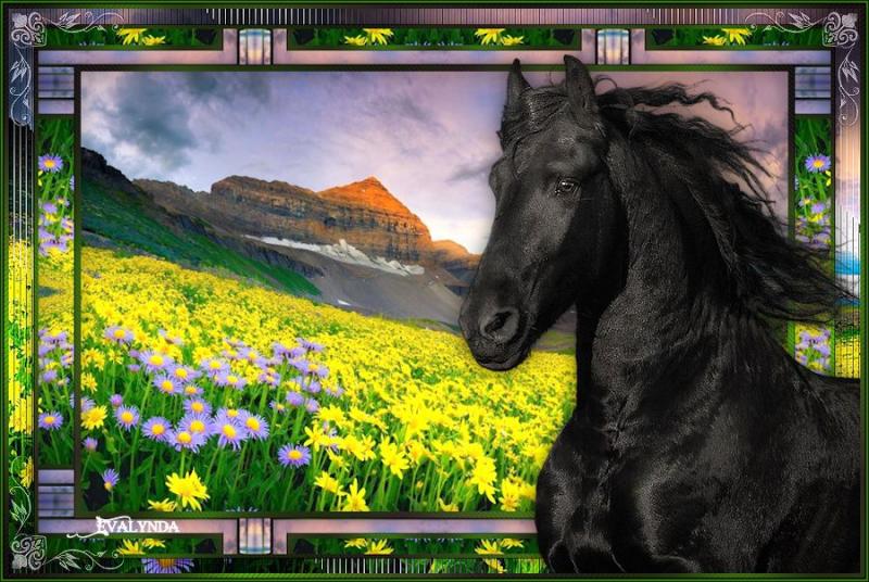 Horse