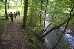 La randonnée du 6 octobre à Fontenay-le-Pesnel