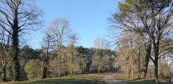 Anglet, la forêt du Lazaret