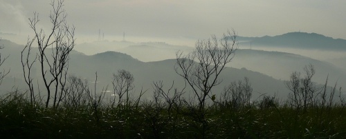 Morning light on the South Ridge #18
