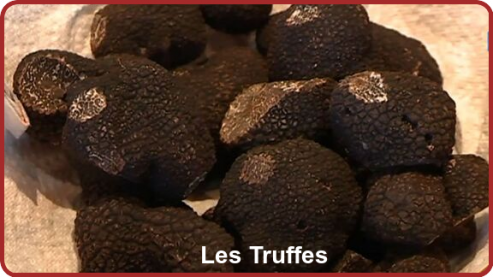 ╰⊱♥⊱╮ღ꧁ Département  24 ꧂ღ╭⊱♥≺