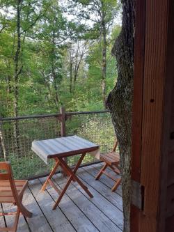 La cabane dans les arbres, à suivre ... 