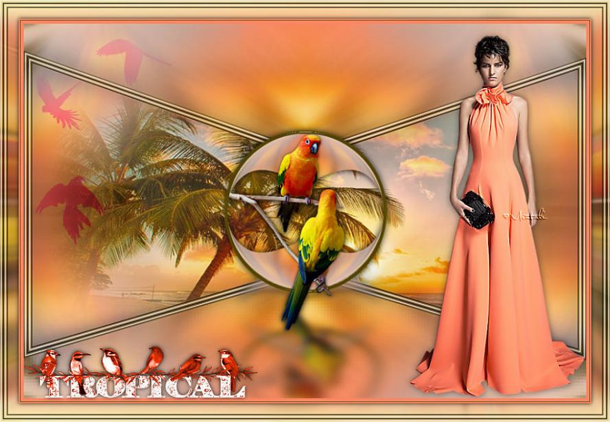 Tropical