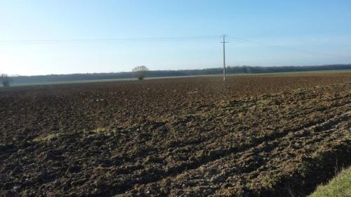 "Baladouce" - Mardi 26 janvier 2016