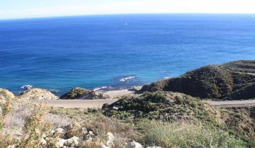 Lundi 20 au dimanche 26 janvier