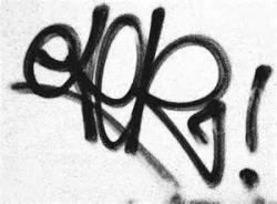 Le coucou du vendredi, haïku, senryû, la rue...