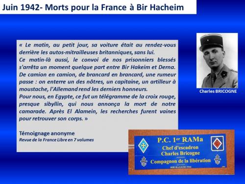 * Les Compagnons de la Libération du 1er Régiment d'artillerie