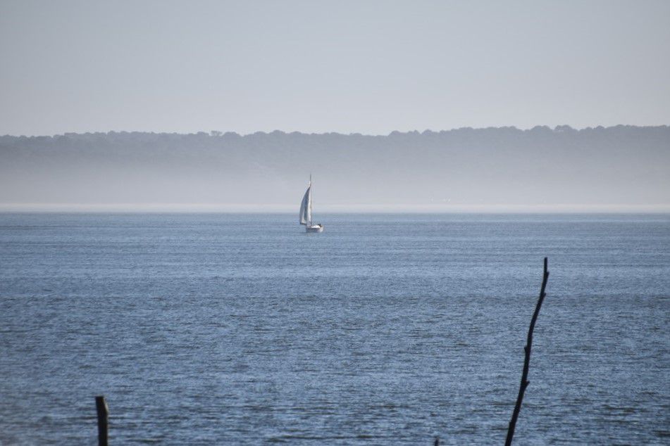 Le Bassin d'Arcachon, vu du village de l'Herbe - janvier 2024...