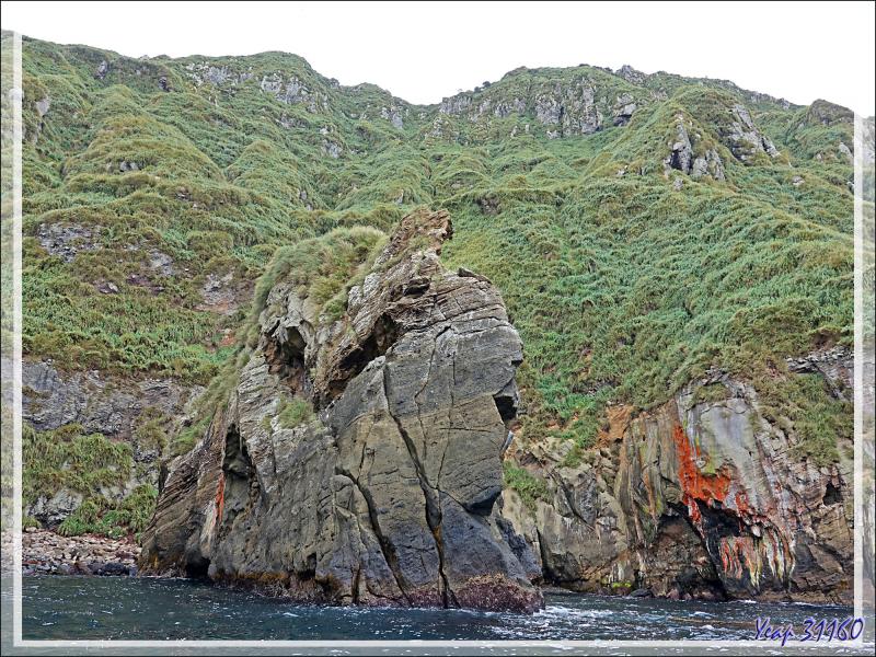 Quand la nature fait dans l'abstrait  : c'est un peu moins beau que les falaises et les grottes précédentes, mais c'est quand même très beau ! - Nightingale Island - Tristan da Cunha