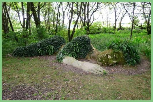 Beaux Arbres / Chemins.