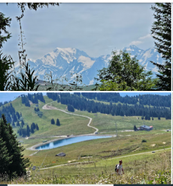 Char du Beurre val d Arly